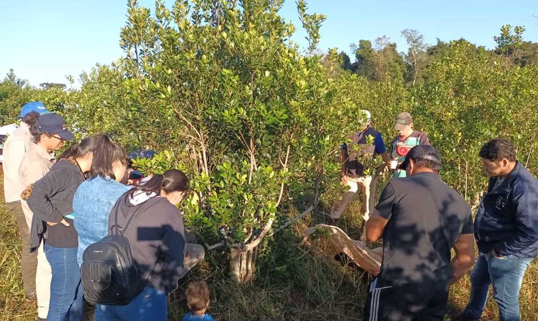 Imagen de Capacitación sobre técnicas de cosecha Imagen de Capacitación sobre técnicas de cosecha