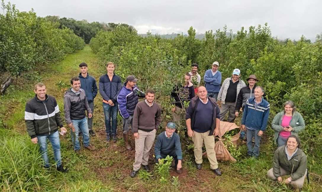 Imagen de Jornada con jóvenes en El Soberbio y Ruiz de Montoya Imagen de Jornada con jóvenes en El Soberbio y Ruiz de Montoya