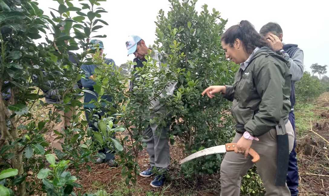 Imagen de Jornada con jóvenes en El Soberbio y Ruiz de Montoya Imagen de Jornada con jóvenes en El Soberbio y Ruiz de Montoya
