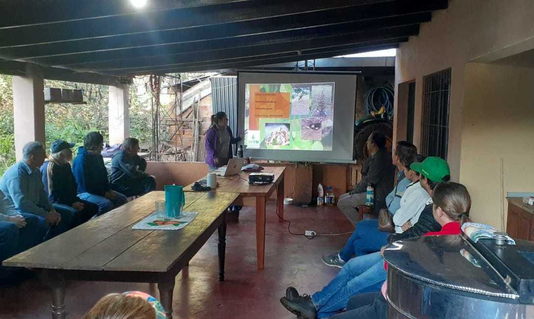 Imagen de Jornada sobre hormigas Imagen de Jornada sobre hormigas