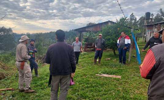 Imagen de Poda y curvas a nivel en el Alto Uruguay