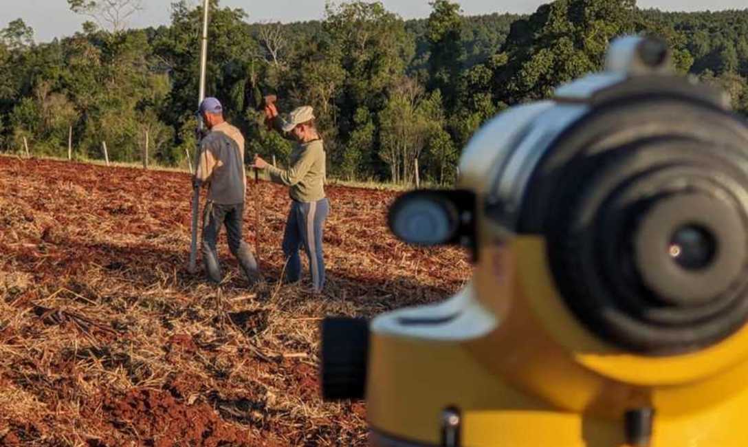 Imagen de Poda y curvas a nivel en el Alto Uruguay Imagen de Poda y curvas a nivel en el Alto Uruguay