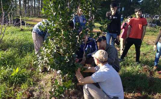 Imagen de Jornada de cosecha y manejo de plantas con alumnos del IEA Nº13 de Guaraní