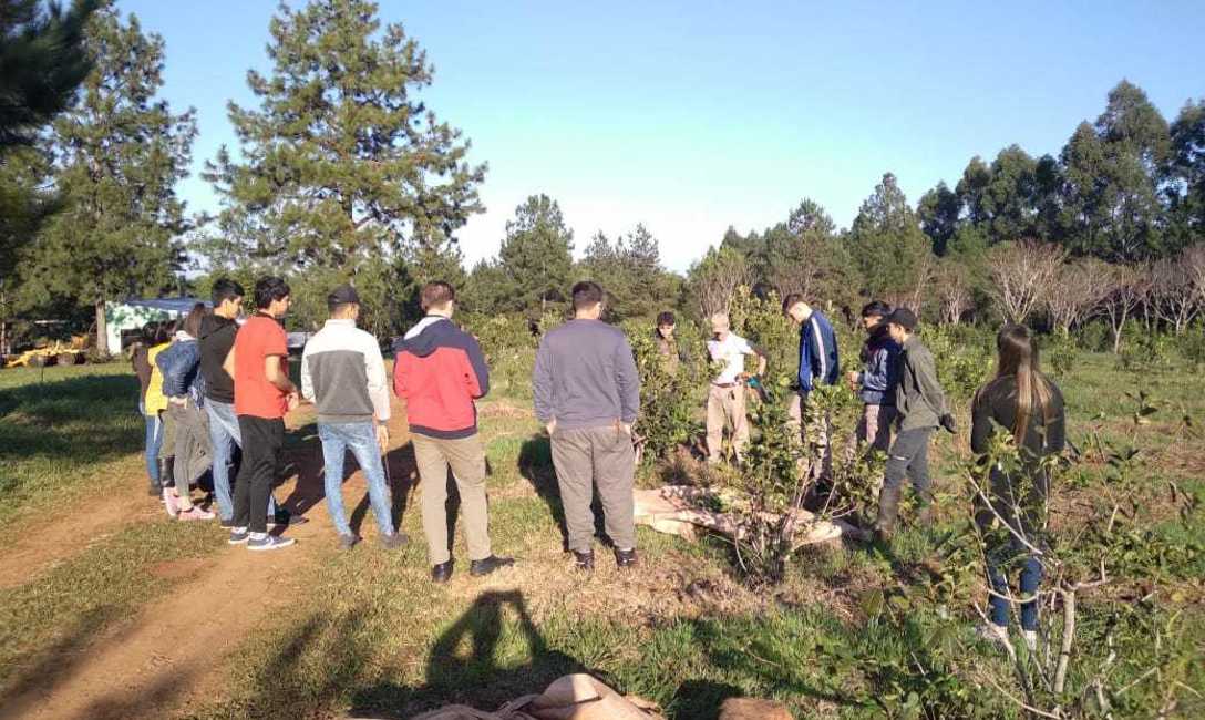 Imagen de Jornada de cosecha y manejo de plantas con alumnos del IEA N&ordm;13 de Guaran&iacute;