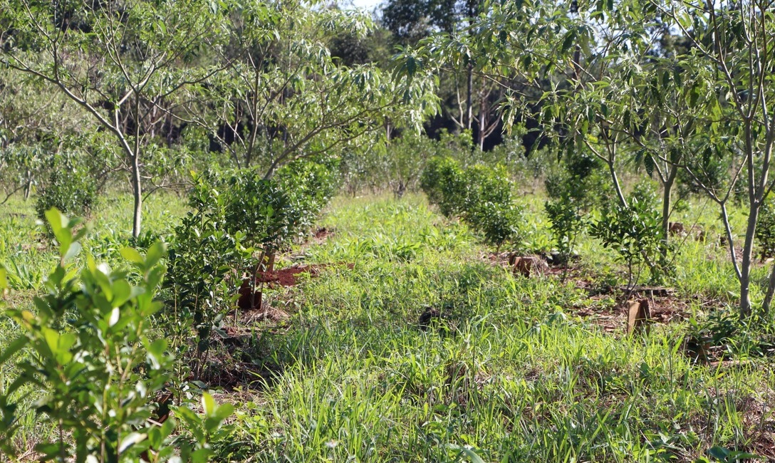 Imagen de El INYM brindó capacitación a periodistas agropecuarios Imagen de El INYM brindó capacitación a periodistas agropecuarios