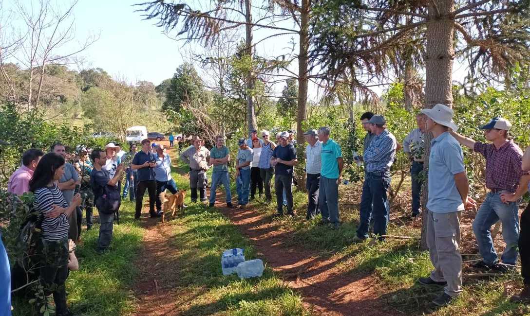 Imagen de Se realizó una nueva jornada de capacitación sobre agroecología en yerba mate Imagen de Se realizó una nueva jornada de capacitación sobre agroecología en yerba mate