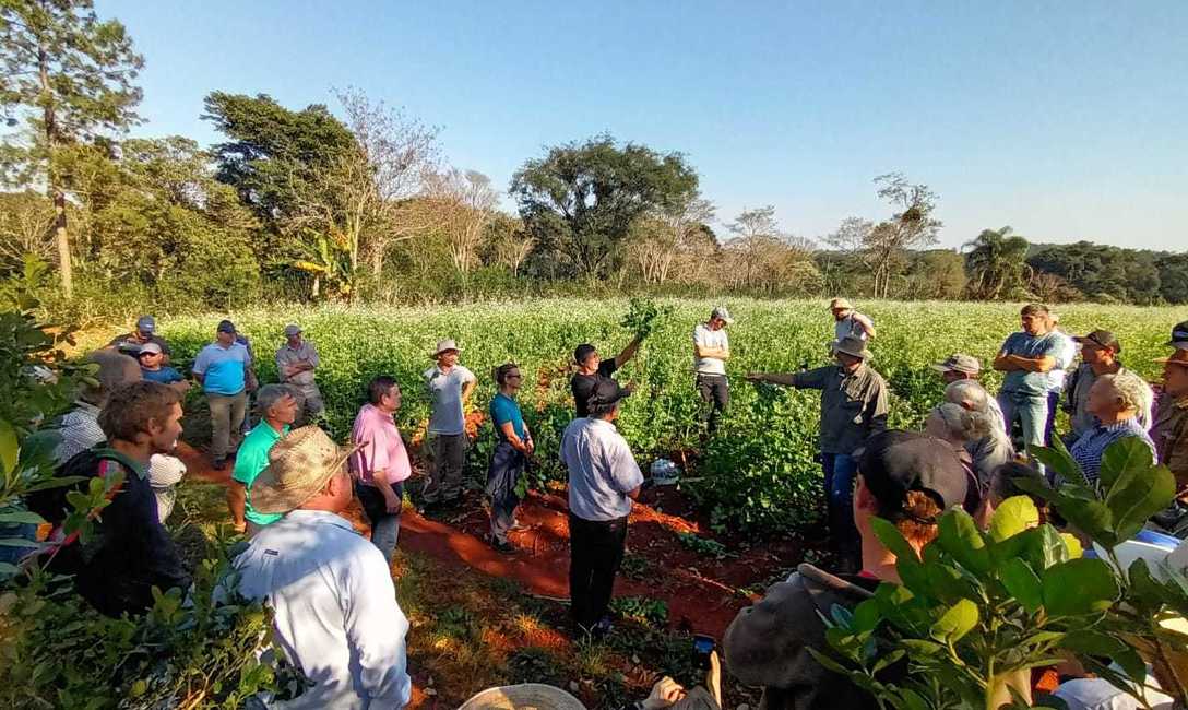 Imagen de Se realizó una nueva jornada de capacitación sobre agroecología en yerba mate Imagen de Se realizó una nueva jornada de capacitación sobre agroecología en yerba mate