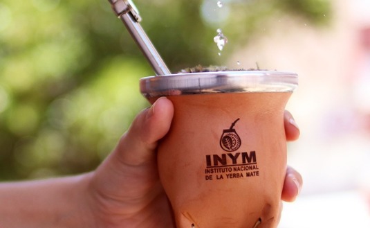Imagen de Científicos contarán por qué el Mate hace bien
