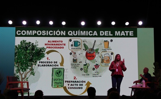 Imagen de La yerba es una gran fuente de bioactivos con alto poder antioxidante