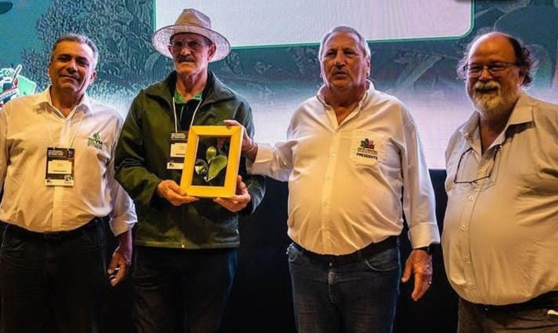 Imagen de Argentina será sede del próximo Congreso Sudamericano e Internacional de Yerba Mate Imagen de Argentina será sede del próximo Congreso Sudamericano e Internacional de Yerba Mate