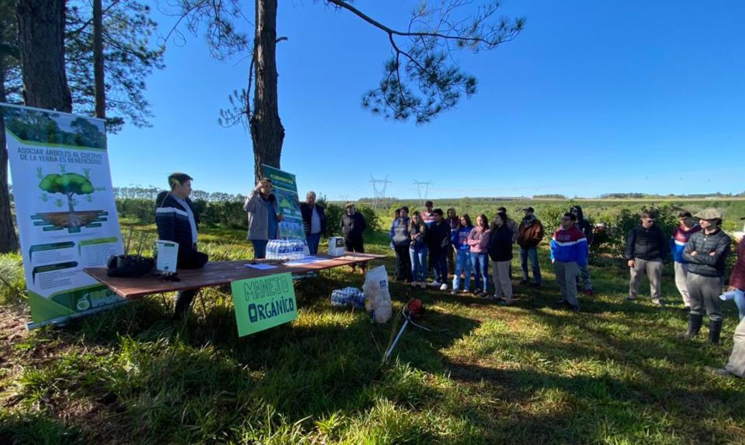 Imagen de El cuidado del medio ambiente, una prioridad para la actividad yerbatera Imagen de El cuidado del medio ambiente, una prioridad para la actividad yerbatera