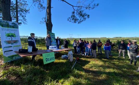 Imagen de El cuidado del medio ambiente, una prioridad para la actividad yerbatera