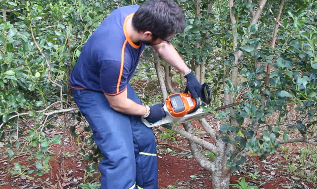 Imagen de Se habilit&oacute; el Programa de Motoguada&ntilde;as y Motosierras que promueve el empleo en la interzafra