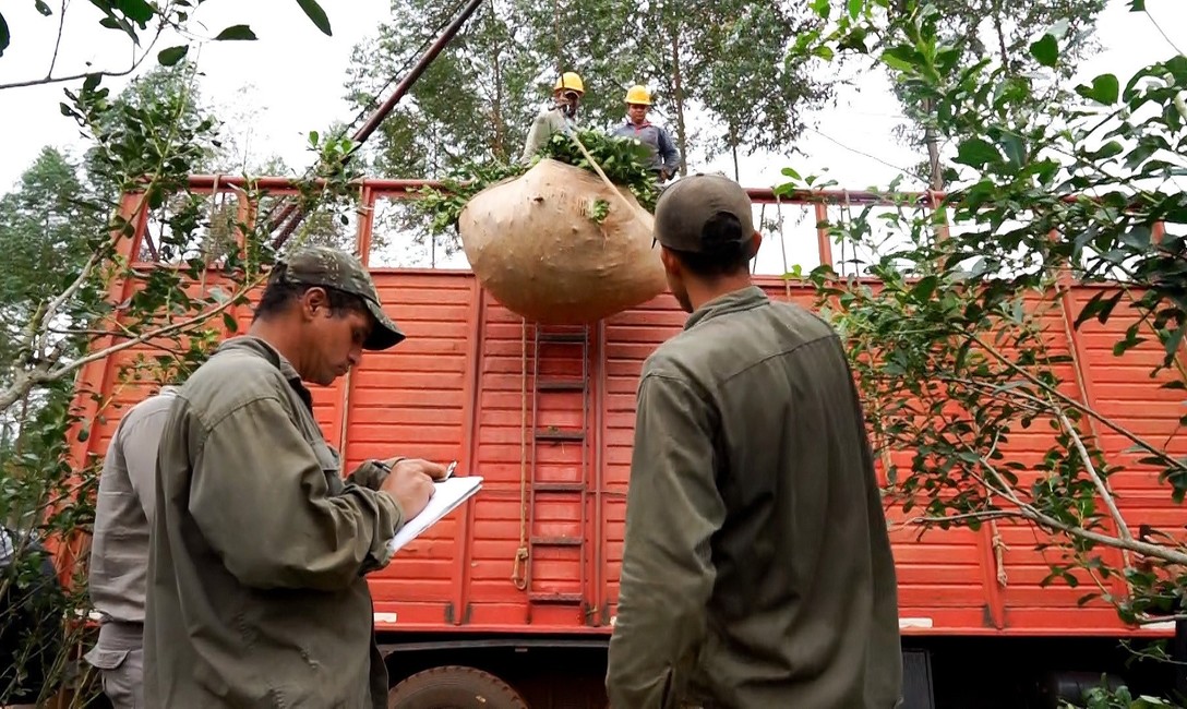 Imagen de El INYM definió el encuadre para las actividades de Comercializador y de Prestador de Servicio Cosecha y Flete Imagen de El INYM definió el encuadre para las actividades de Comercializador y de Prestador de Servicio Cosecha y Flete