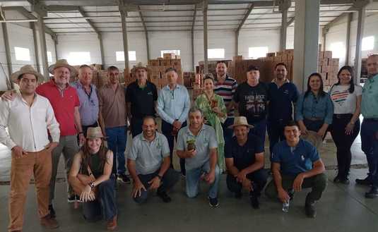 Imagen de El INYM en el Foro Sud Americano de Yerba Mate