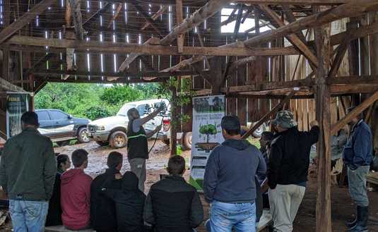 Imagen de Continúan las capacitaciones en manejo de yerbales dañados por granizo