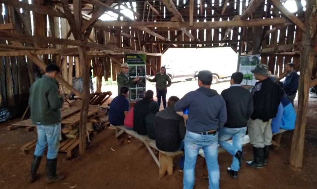 Imagen de Continúan las capacitaciones en manejo de yerbales dañados por granizo Imagen de Continúan las capacitaciones en manejo de yerbales dañados por granizo