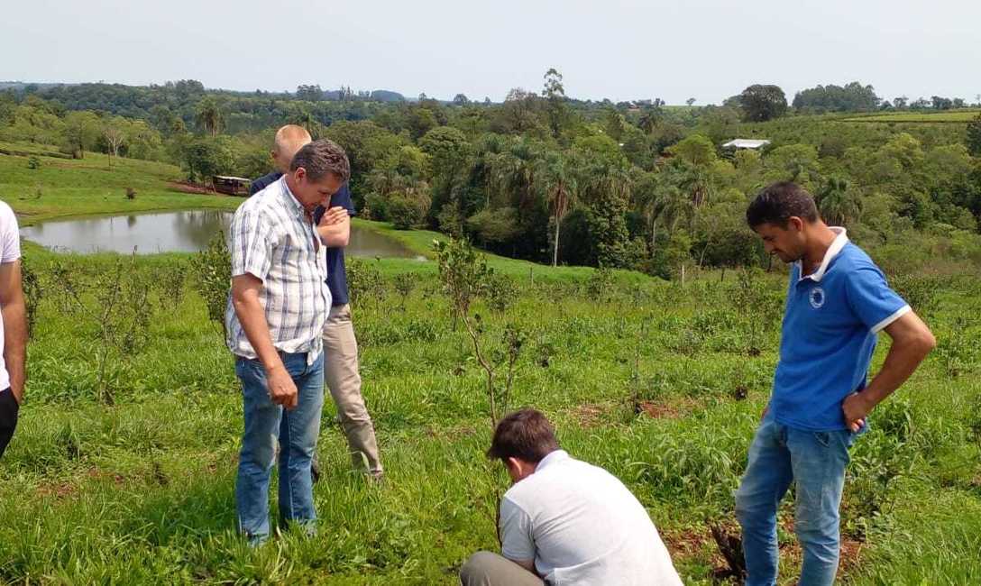 Imagen de Continúan las capacitaciones en manejo de yerbales dañados por granizo Imagen de Continúan las capacitaciones en manejo de yerbales dañados por granizo