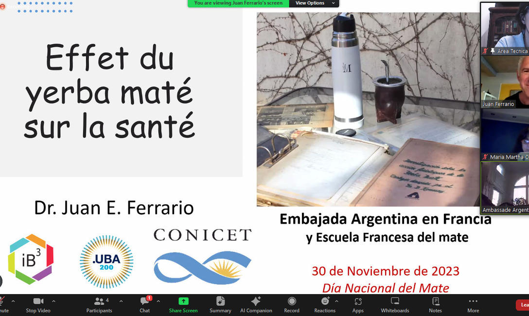 Imagen de El mate argentino, sin fronteras Imagen de El mate argentino, sin fronteras