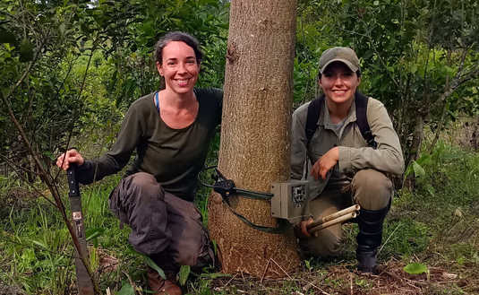 Paula Cruz y equipo monitorean presencia de mamiferos en yerbales