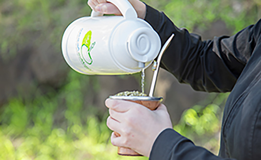 Imagen de Récord histórico: la yerba mate confirmó su buen momento y el consumo superó los 325 millones de kilos en 2023