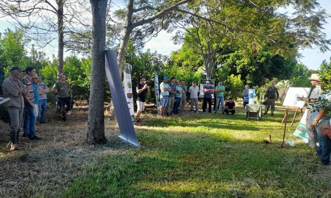 Imagen de Trabajar a la fertilidad de la chacra como un sistema integral  ambiental para lograr buenos rendimientos