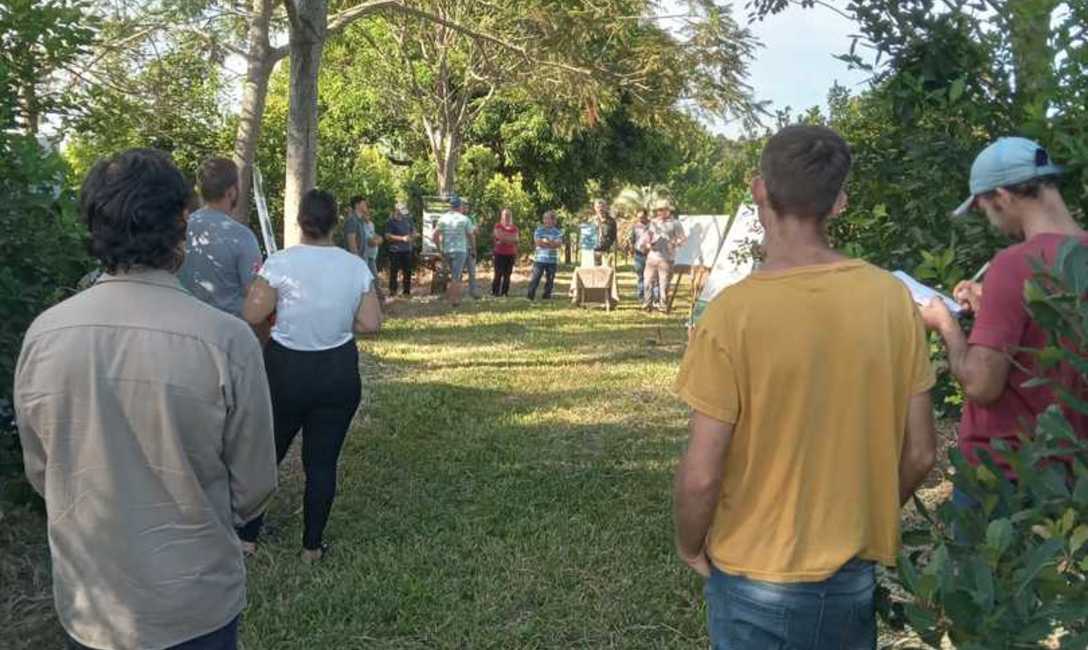 Imagen de Trabajar a la fertilidad de la chacra como un sistema integral  ambiental para lograr buenos rendimientos