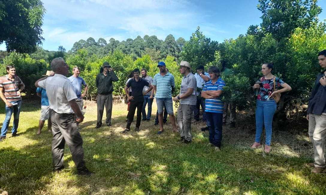 Imagen de Trabajar a la fertilidad de la chacra como un sistema integral  ambiental para lograr buenos rendimientos
