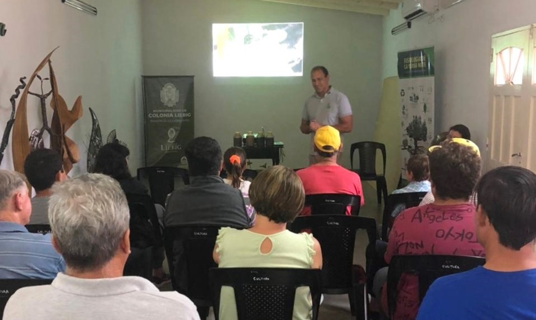 Imagen de Capacitación sobre viveros y plantación de yerba mate Imagen de Capacitación sobre viveros y plantación de yerba mate