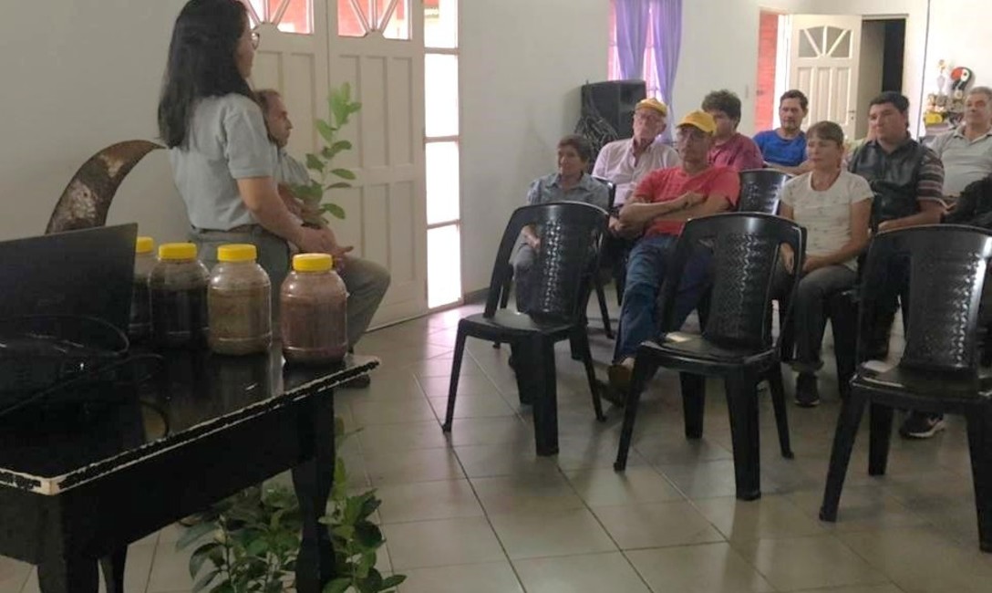 Imagen de Capacitación sobre viveros y plantación de yerba mate Imagen de Capacitación sobre viveros y plantación de yerba mate