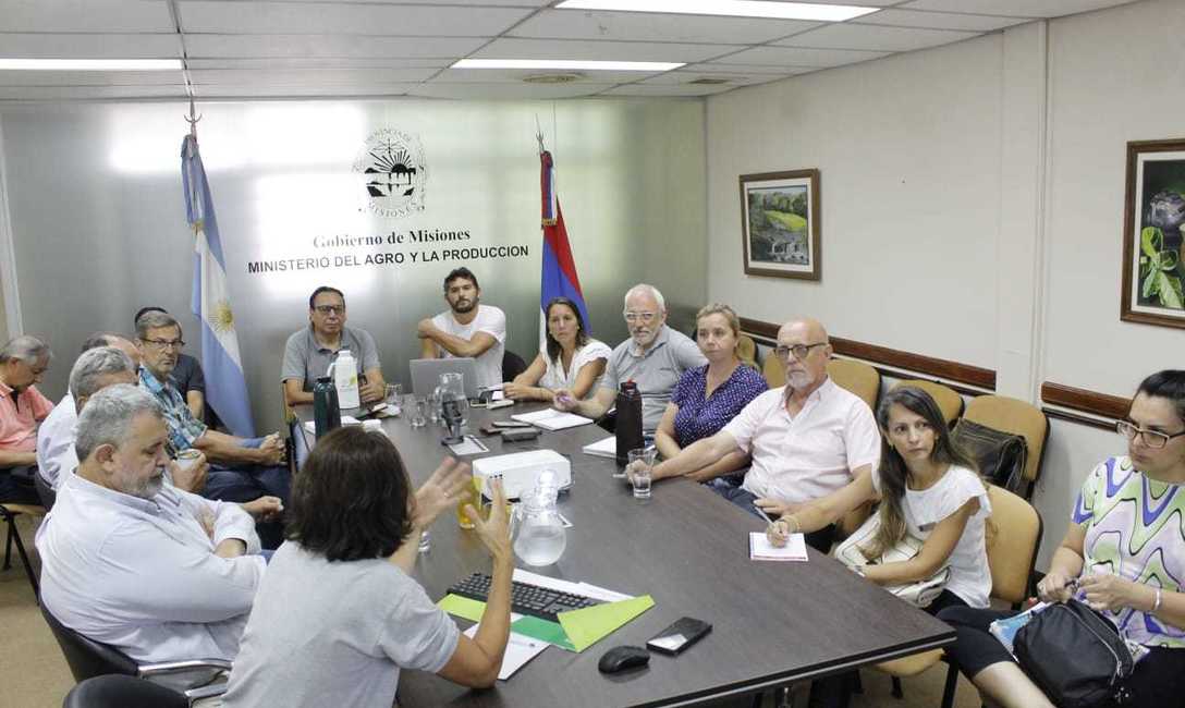 Imagen de Identifican el agente causal de agallas en yerba mate y definen medidas que pueden aplicar los productores Imagen de Identifican el agente causal de agallas en yerba mate y definen medidas que pueden aplicar los productores