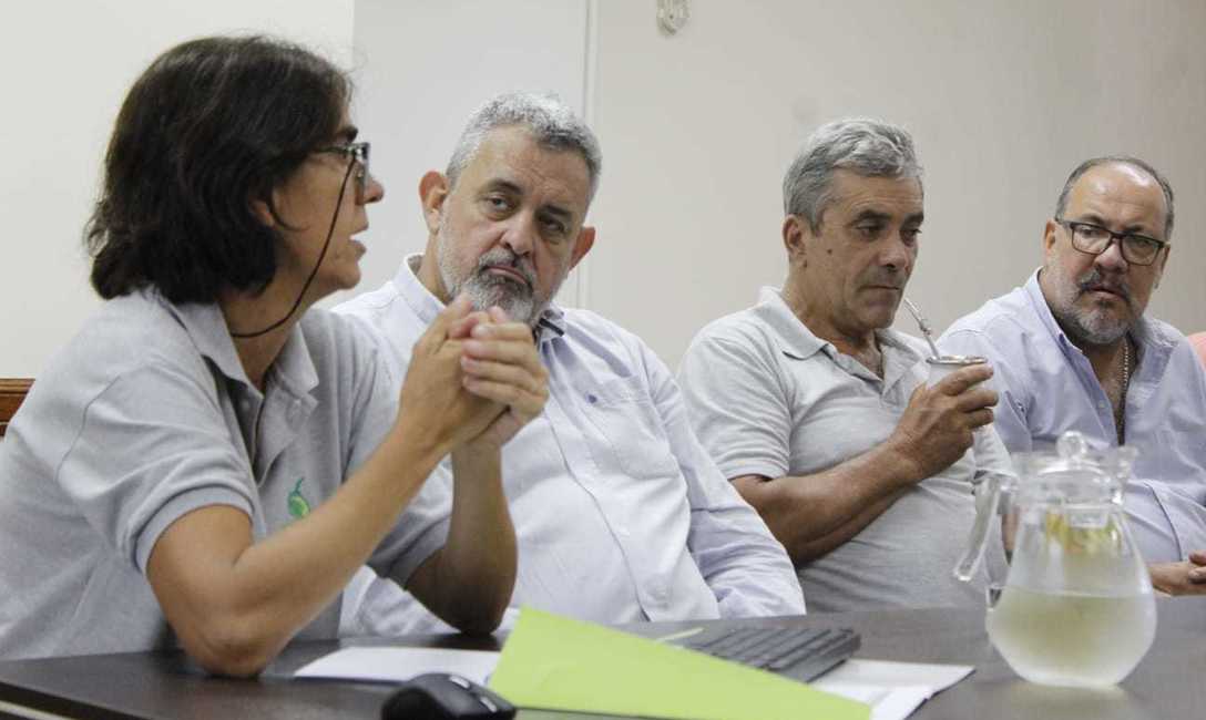 Imagen de Identifican el agente causal de agallas en yerba mate y definen medidas que pueden aplicar los productores Imagen de Identifican el agente causal de agallas en yerba mate y definen medidas que pueden aplicar los productores