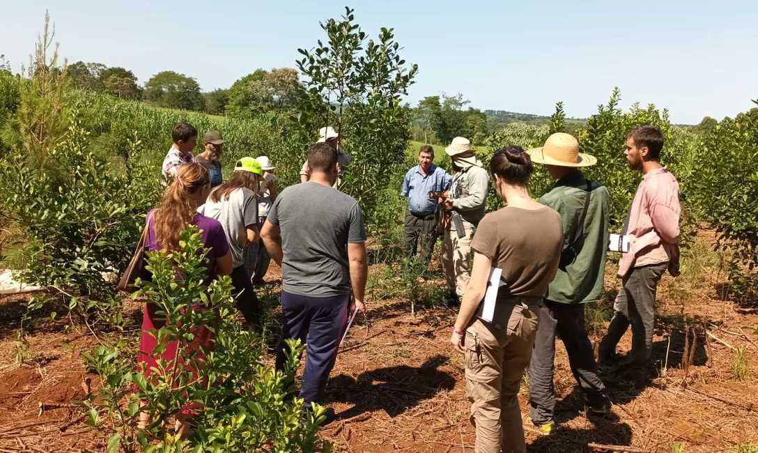 Imagen de Jornada de capacitación junto a productores de Pozo Azul Imagen de Jornada de capacitación junto a productores de Pozo Azul