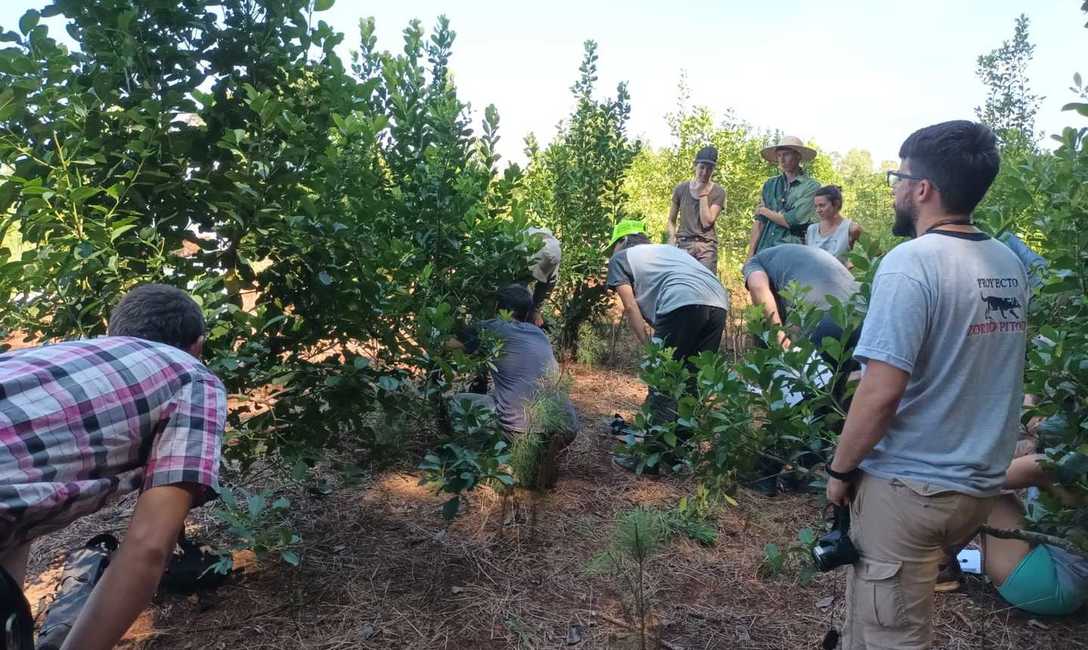 Imagen de Jornada de capacitación junto a productores de Pozo Azul Imagen de Jornada de capacitación junto a productores de Pozo Azul