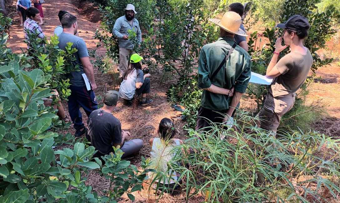 Imagen de Jornada de capacitación junto a productores de Pozo Azul Imagen de Jornada de capacitación junto a productores de Pozo Azul