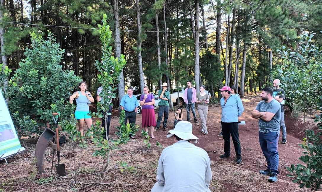 Imagen de Jornada de capacitación junto a productores de Pozo Azul Imagen de Jornada de capacitación junto a productores de Pozo Azul