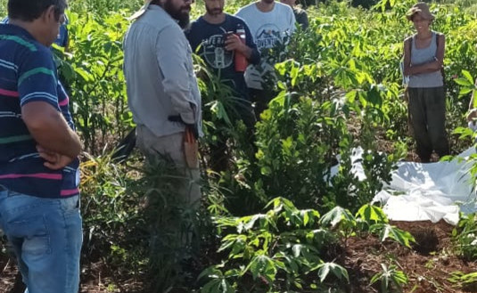 Imagen de Manejo de suelo y planta en San Pedro