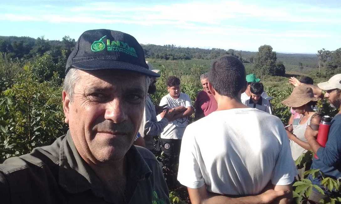 Imagen de Manejo de suelo y planta en San Pedro Imagen de Manejo de suelo y planta en San Pedro
