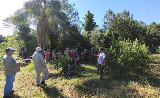 Imagen de Jornada de cosecha en Tobuna