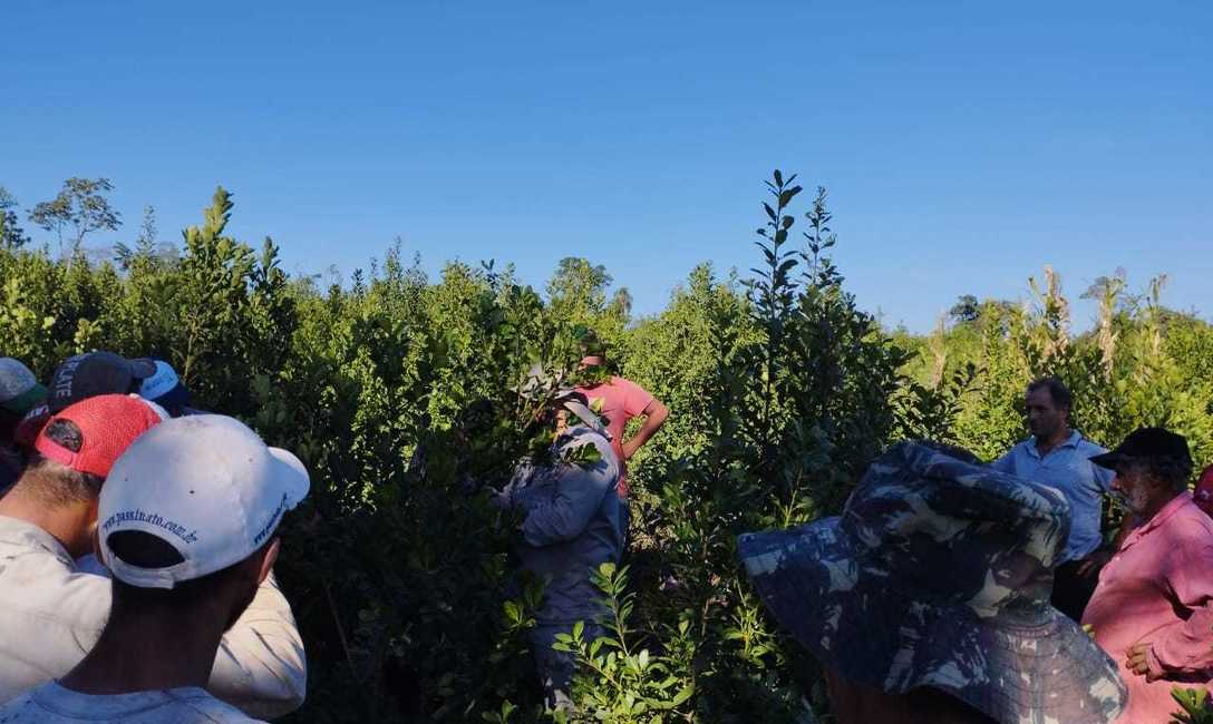 Imagen de Jornada de cosecha en Tobuna Imagen de Jornada de cosecha en Tobuna