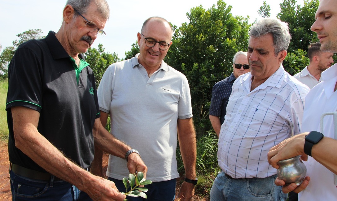 Imagen de Jornada de integración de la Federación Internacional de Productores con recorrido por plantaciones, secadero y molino Imagen de Jornada de integración de la Federación Internacional de Productores con recorrido por plantaciones, secadero y molino