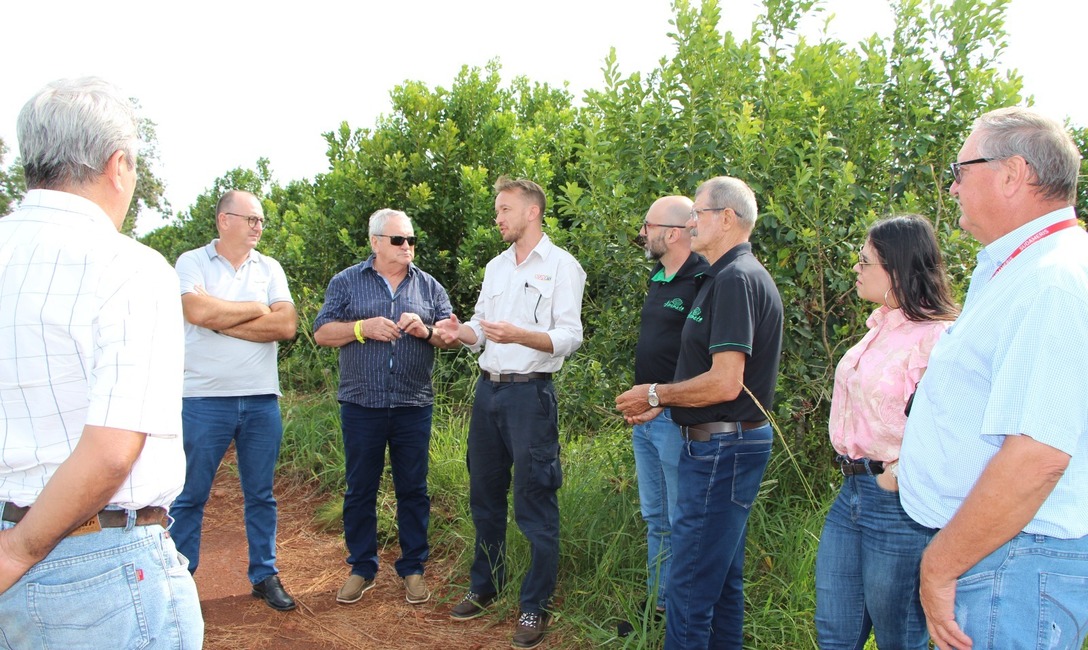 Imagen de Jornada de integración de la Federación Internacional de Productores con recorrido por plantaciones, secadero y molino Imagen de Jornada de integración de la Federación Internacional de Productores con recorrido por plantaciones, secadero y molino