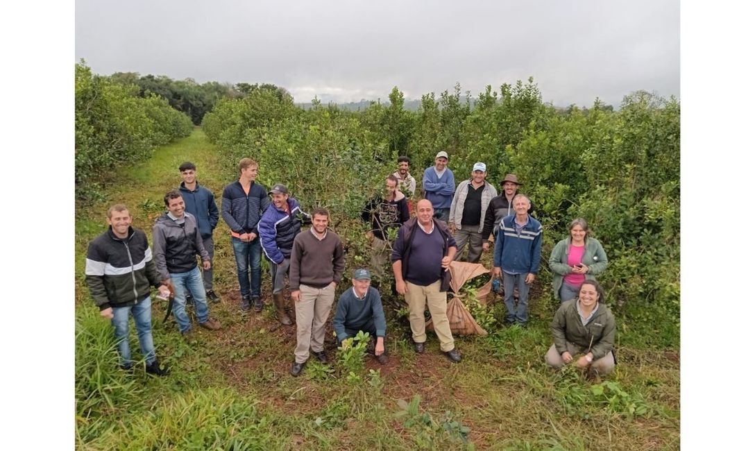 Imagen de Se afianza el trabajo entre productores y t&eacute;cnicos del INYM