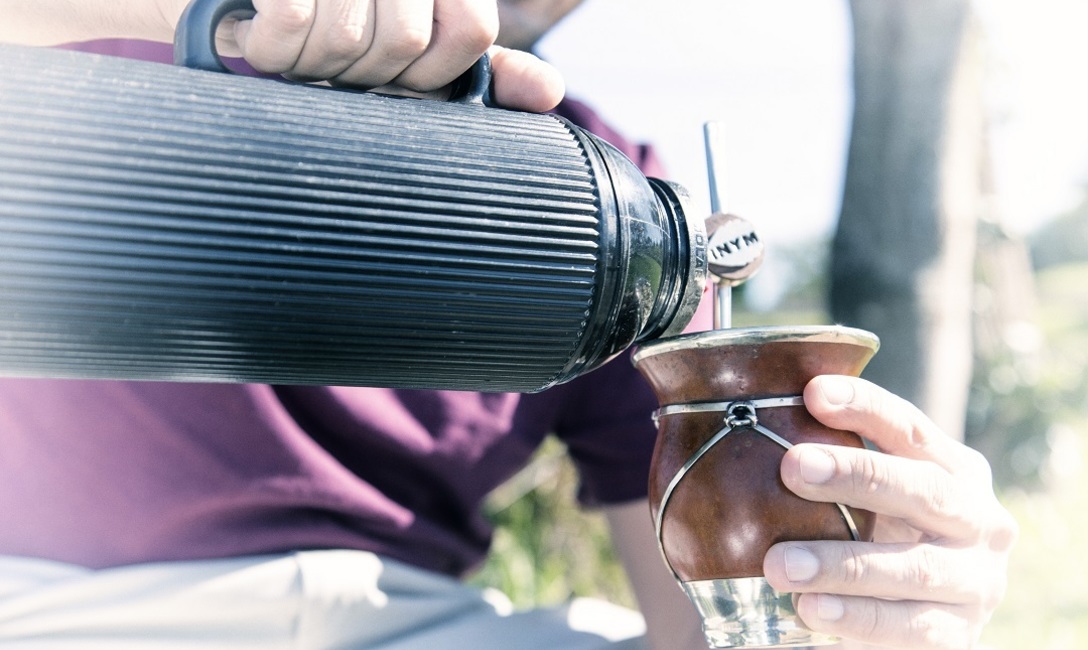 Imagen de Las ventas de yerba mate continúan con indicadores positivos en mercado interno y exportaciones Imagen de Las ventas de yerba mate continúan con indicadores positivos en mercado interno y exportaciones
