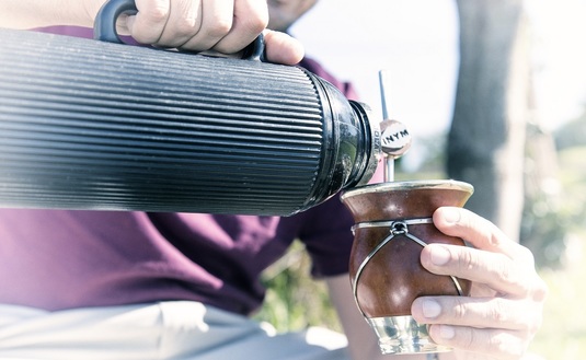 Imagen de Las ventas de yerba mate continúan con indicadores positivos en mercado interno y exportaciones