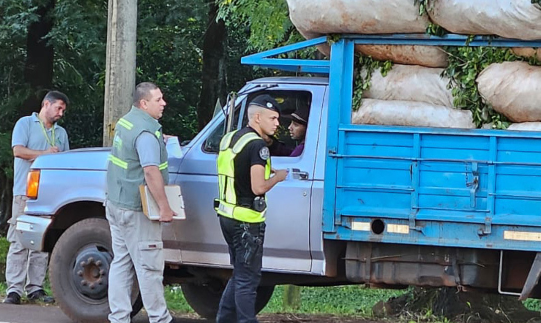 Imagen de El INYM desarrolla operativos para controlar el transporte de materia prima y prevenir el robo de yerba mate Imagen de El INYM desarrolla operativos para controlar el transporte de materia prima y prevenir el robo de yerba mate