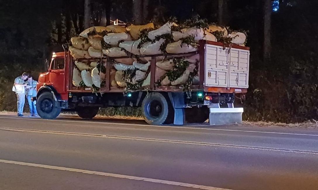 Imagen de El INYM desarrolla operativos para controlar el transporte de materia prima y prevenir el robo de yerba mate Imagen de El INYM desarrolla operativos para controlar el transporte de materia prima y prevenir el robo de yerba mate