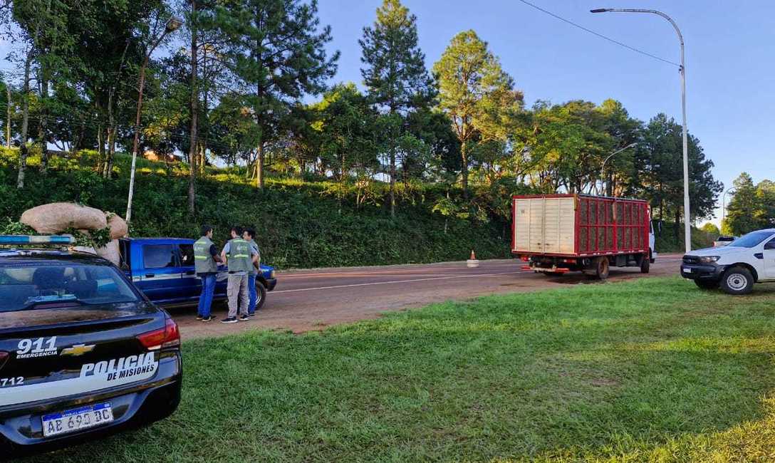 Imagen de El INYM desarrolla operativos para controlar el transporte de materia prima y prevenir el robo de yerba mate Imagen de El INYM desarrolla operativos para controlar el transporte de materia prima y prevenir el robo de yerba mate