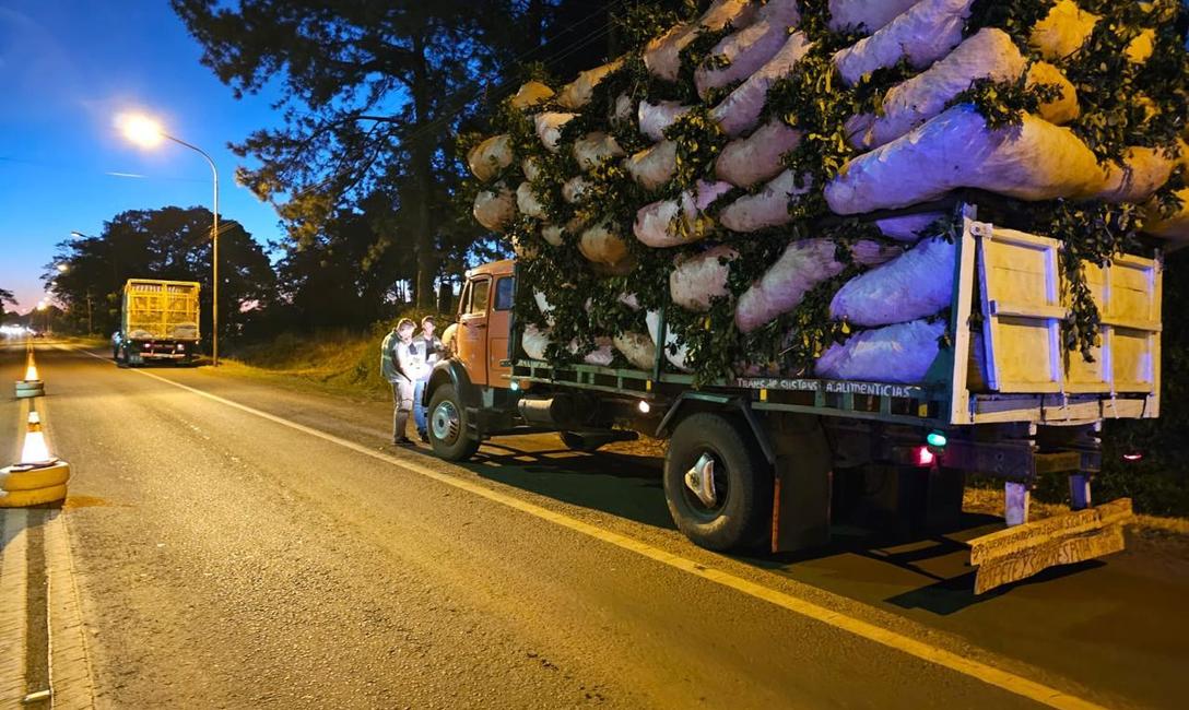 Imagen de El INYM desarrolla operativos para controlar el transporte de materia prima y prevenir el robo de yerba mate Imagen de El INYM desarrolla operativos para controlar el transporte de materia prima y prevenir el robo de yerba mate