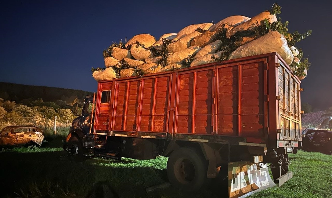 Imagen de Tras operativos del INYM, detuvieron a individuos que exhibieron remitos de hoja verde falsificados Imagen de Tras operativos del INYM, detuvieron a individuos que exhibieron remitos de hoja verde falsificados